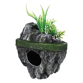 「SALE‼️」新入荷フィッシュボール(天然木ガラス水槽)2XL黒珊瑚 初売り中❗️［新入荷】フィッシュボール(天然木ガラス水槽)(2XL